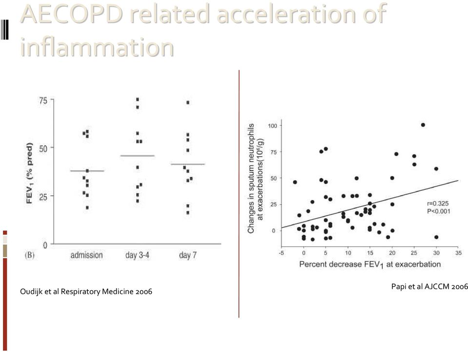 inflammation Oudijk et al