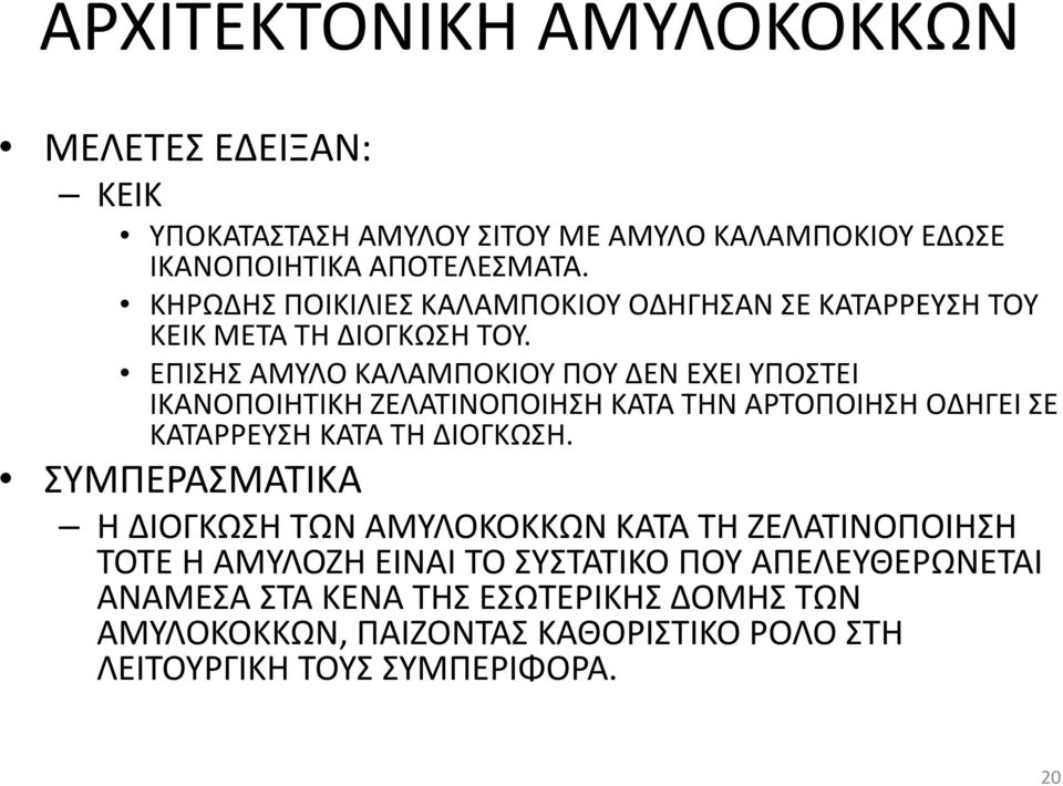 ΕΠΙΣΗΣ ΑΜΥΛΟ ΚΑΛΑΜΠΟΚΙΟΥ ΠΟΥ ΔΕΝ ΕΧΕΙ ΥΠΟΣΤΕΙ ΙΚΑΝΟΠΟΙΗΤΙΚΗ ΖΕΛΑΤΙΝΟΠΟΙΗΣΗ ΚΑΤΑ ΤΗΝ ΑΡΤΟΠΟΙΗΣΗ ΟΔΗΓΕΙ ΣΕ ΚΑΤΑΡΡΕΥΣΗ ΚΑΤΑ ΤΗ ΔΙΟΓΚΩΣΗ.