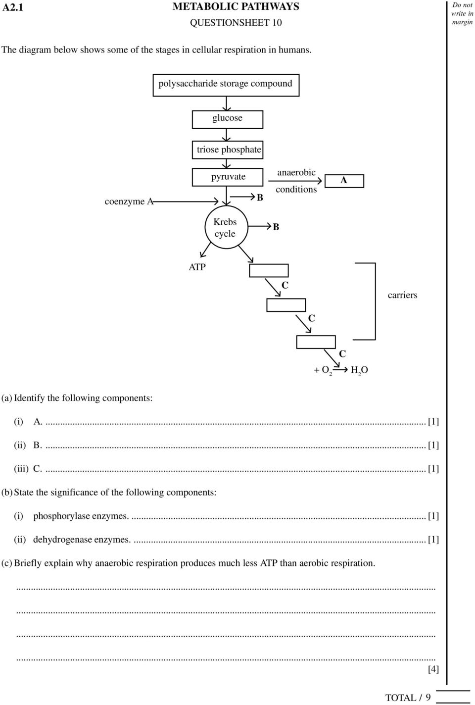 C + O 2 H 2 O (a) Identify the following components: (i) A.... (ii) B.... (iii) C.