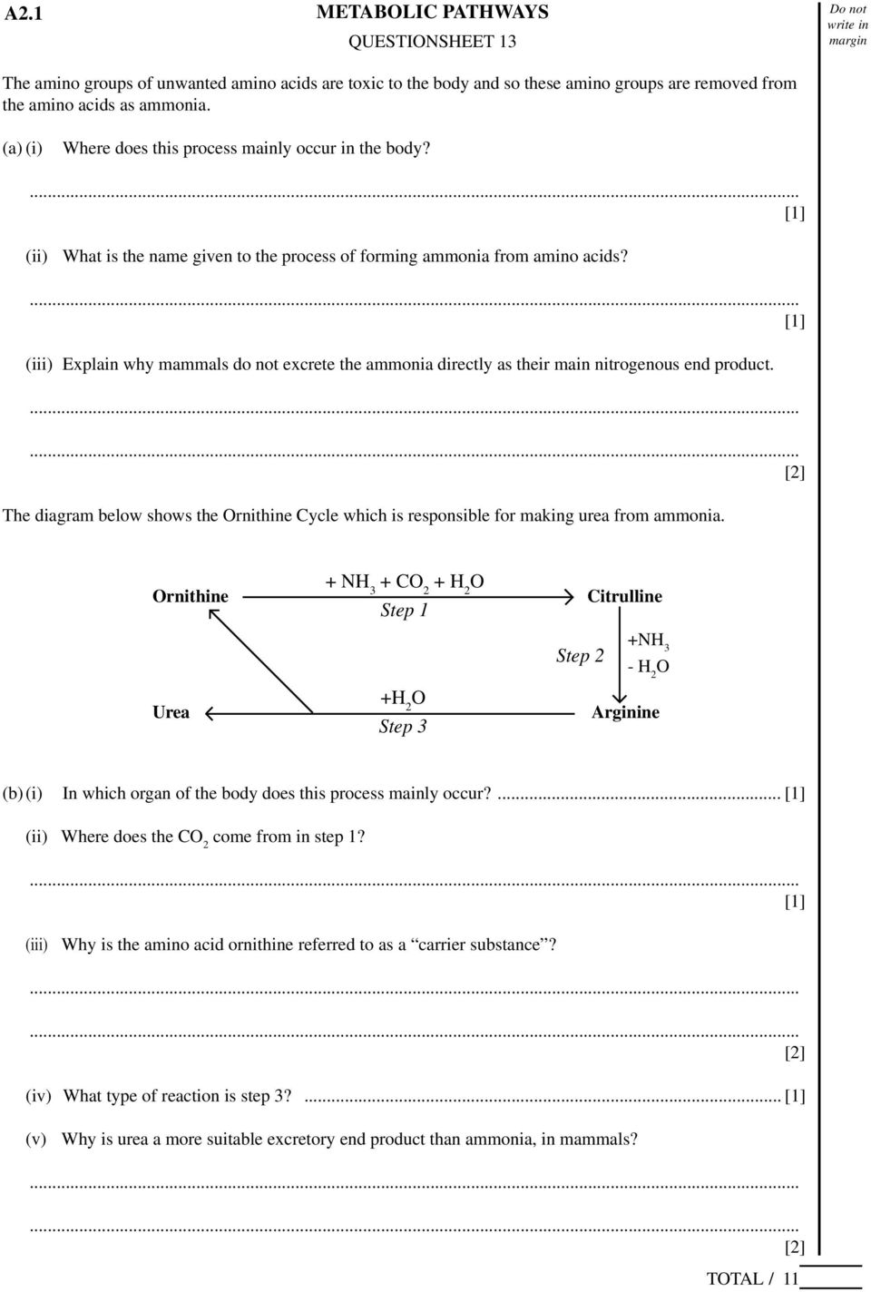 (iii) Explain why mammals do not excrete the ammonia directly as their main nitrogenous end product. The diagram below shows the Ornithine Cycle which is responsible for making urea from ammonia.