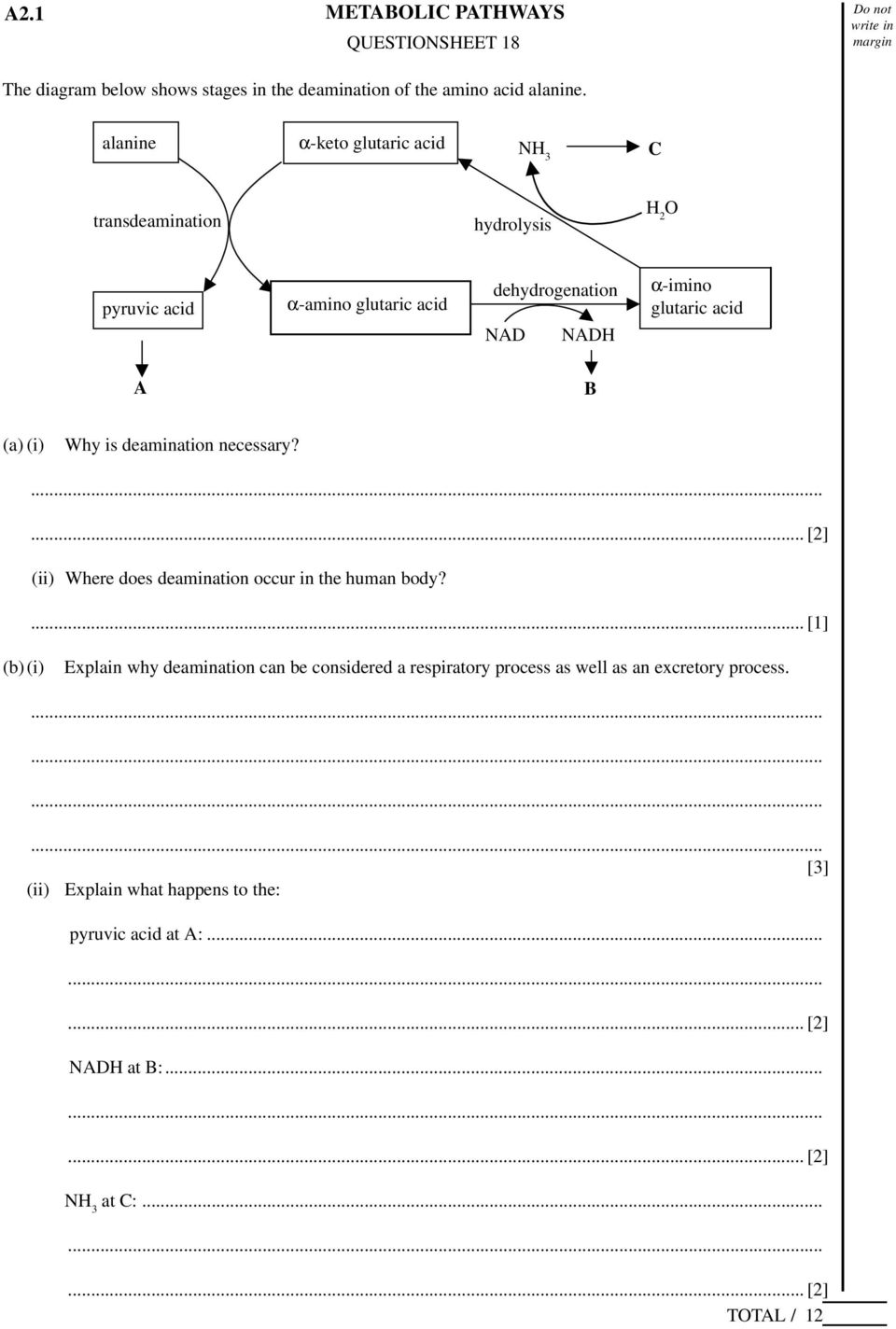 glutaric acid A B (a) (i) Why is deamination necessary?... (ii) Where does deamination occur in the human body?