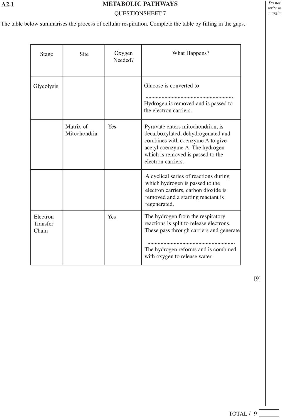 Matrix of Mitochondria Yes Pyruvate enters mitochondrion, is decarboxylated, dehydrogenated and combines with coenzyme A to give acetyl coenzyme A.