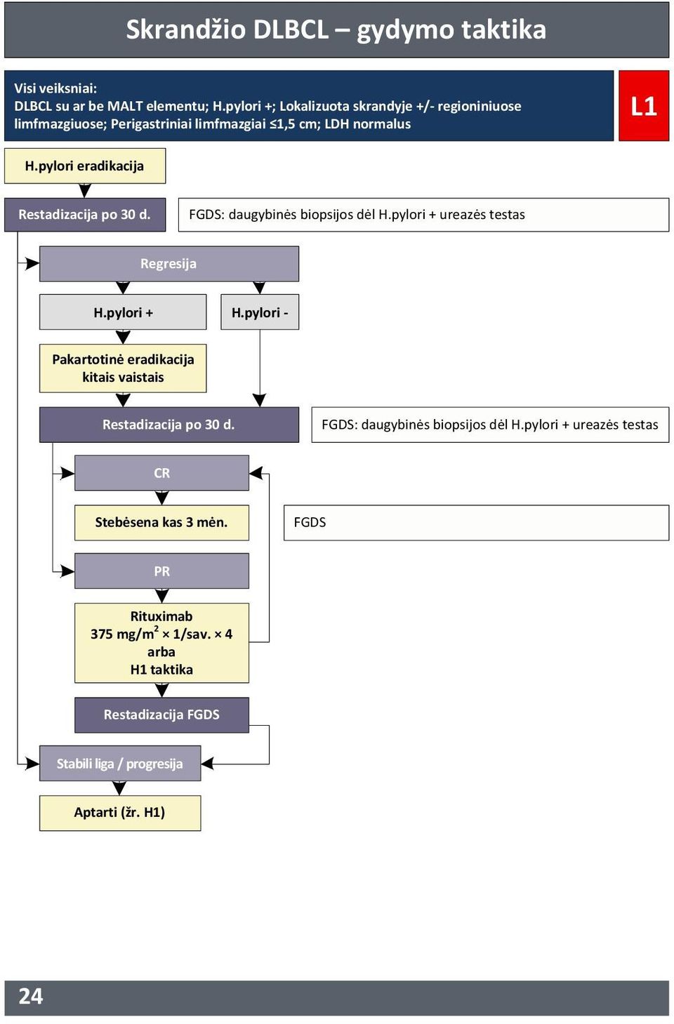 pylori eradikacija Restadizacija po 30 d. FGDS: daugybinės biopsijos dėl H.pylori + ureazės testas Regresija H.pylori + H.