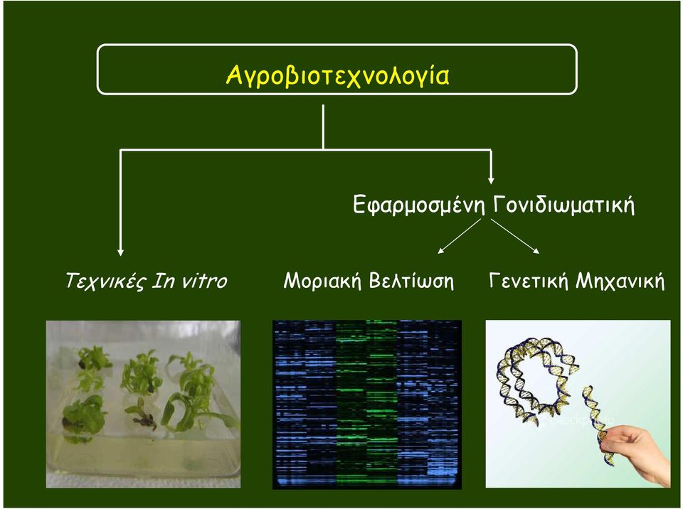 Γονιδιωµατική Τεχνικές