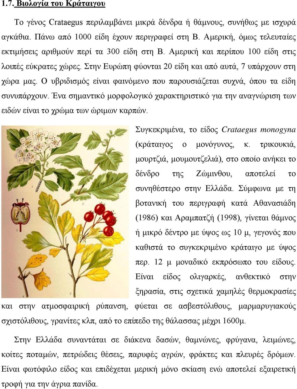 Ο υβριδισµός είναι φαινόµενο που παρουσιάζεται συχνά, όπου τα είδη συνυπάρχουν. Ένα σηµαντικό µορφολογικό χαρακτηριστικό για την αναγνώριση των ειδών είναι το χρώµα των ώριµων καρπών.