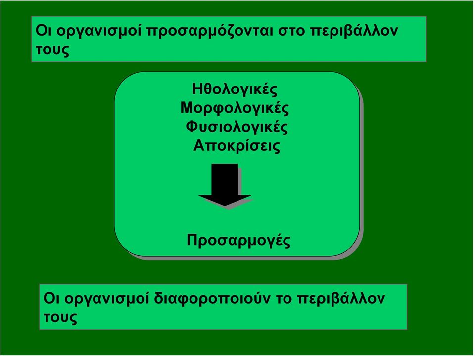 Μορφολογικές Φυσιολογικές Αποκρίσεις