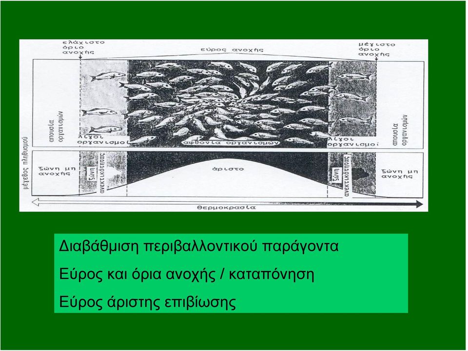παράγοντα Εύρος και