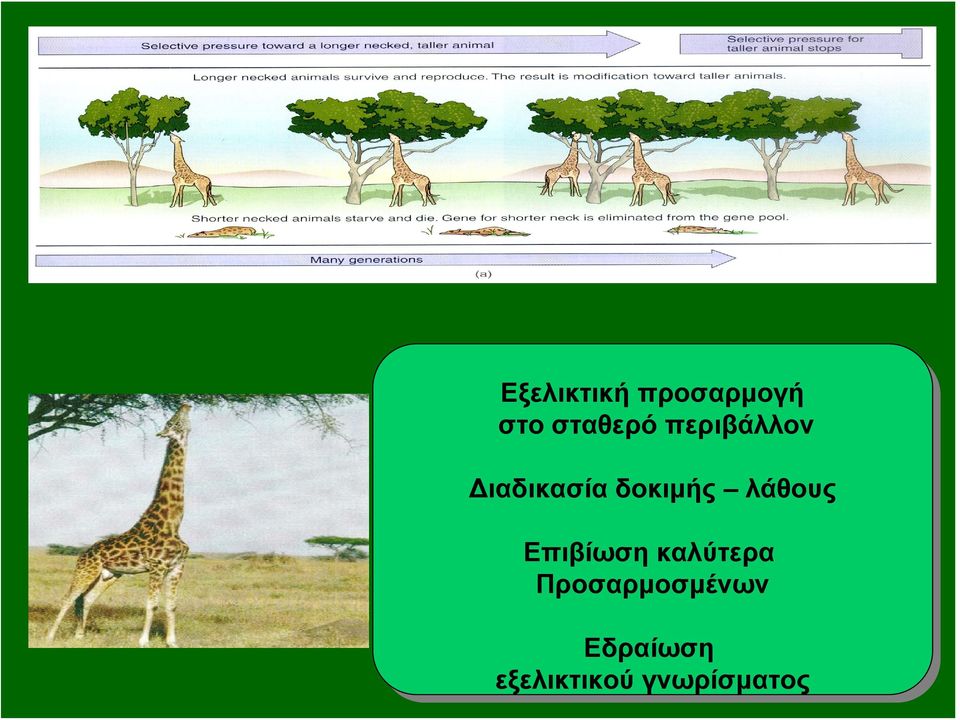 δοκιμής λάθους Επιβίωση καλύτερα