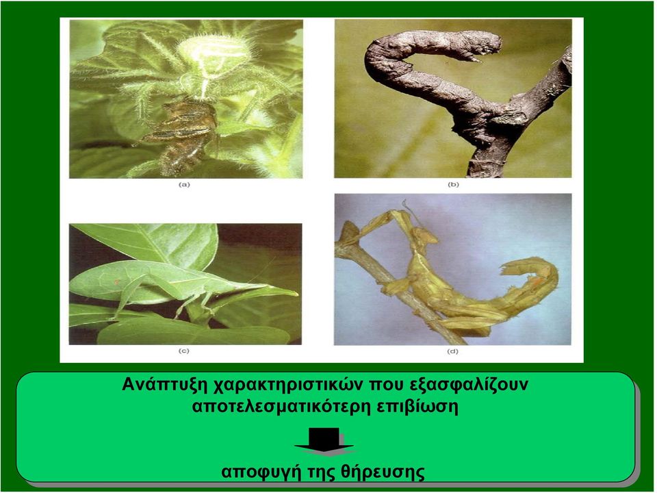 πουεξασφαλίζουν
