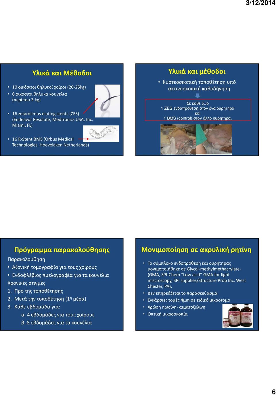 16 R-Stent BMS (Orbus Medical Technologies, Hoevelaken Netherlands) Πρόγραμμα παρακολούθησης Παρακολούθηση Αξονική τομογραφία για τους χοίρους Ενδοφλέβιος πυελογραφία για τα κουνέλια Χρονικές στιγμές