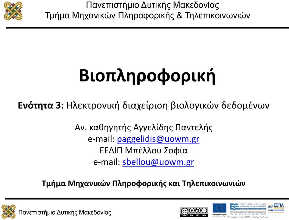 καθηγητής Αγγελίδης Παντελής e-mail: paggelidis@uowm.