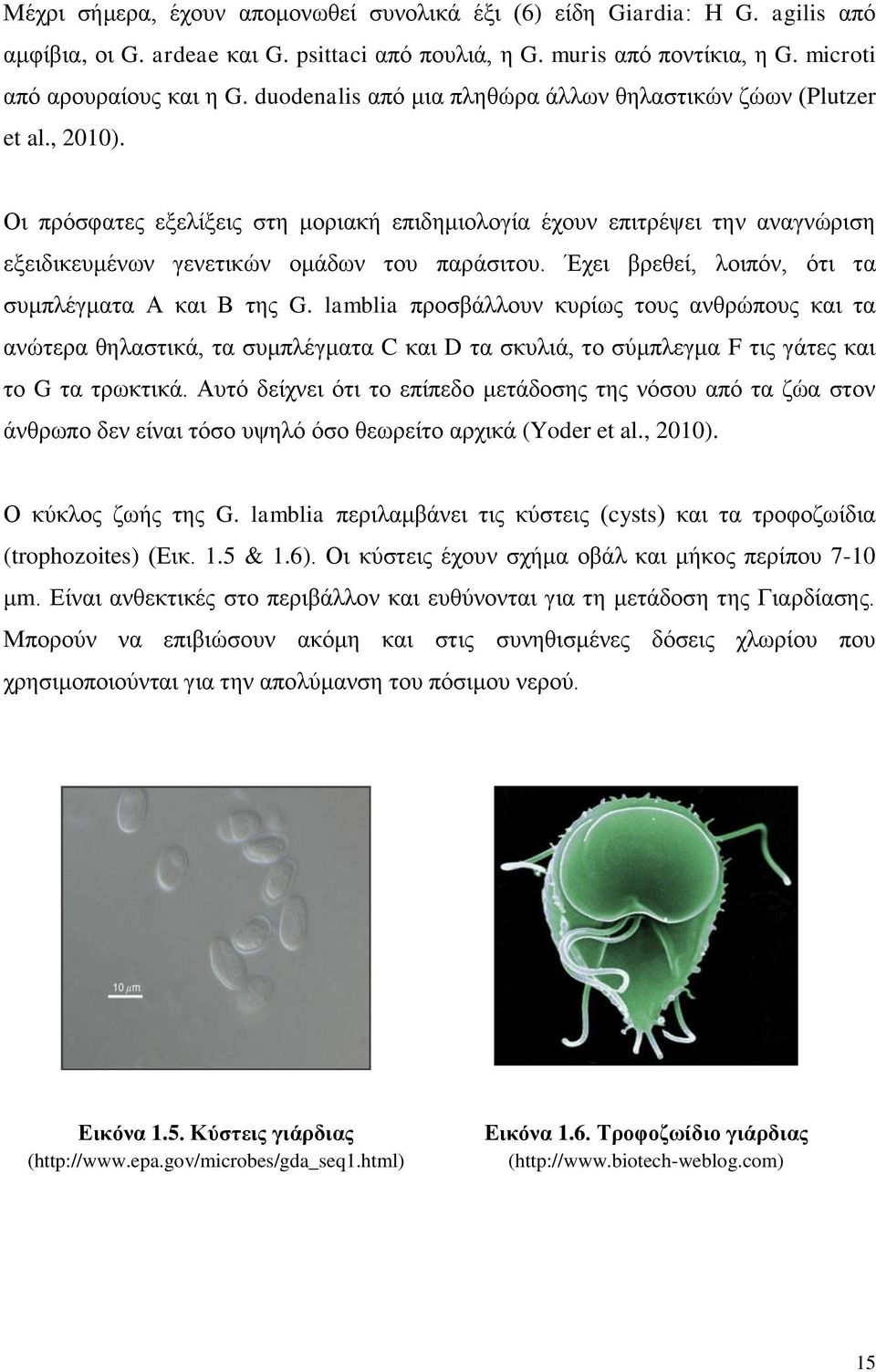 Έχει βρεθεί, λοιπόν, ότι τα συμπλέγματα Α και Β της G.