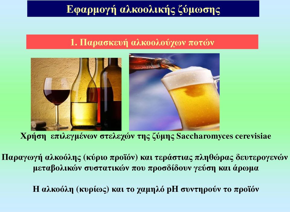 Saccharomyces cerevisiae Παραγωγή αλκοόλης (κύριο προϊόν) και τεράστιας
