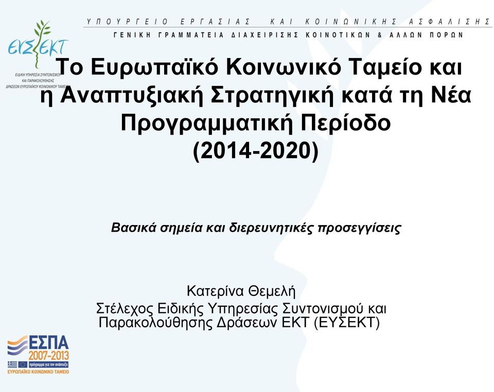 και διερεσνηηικές προζεγγίζεις Καηεξίλα Θεκειή Σηέιερνο