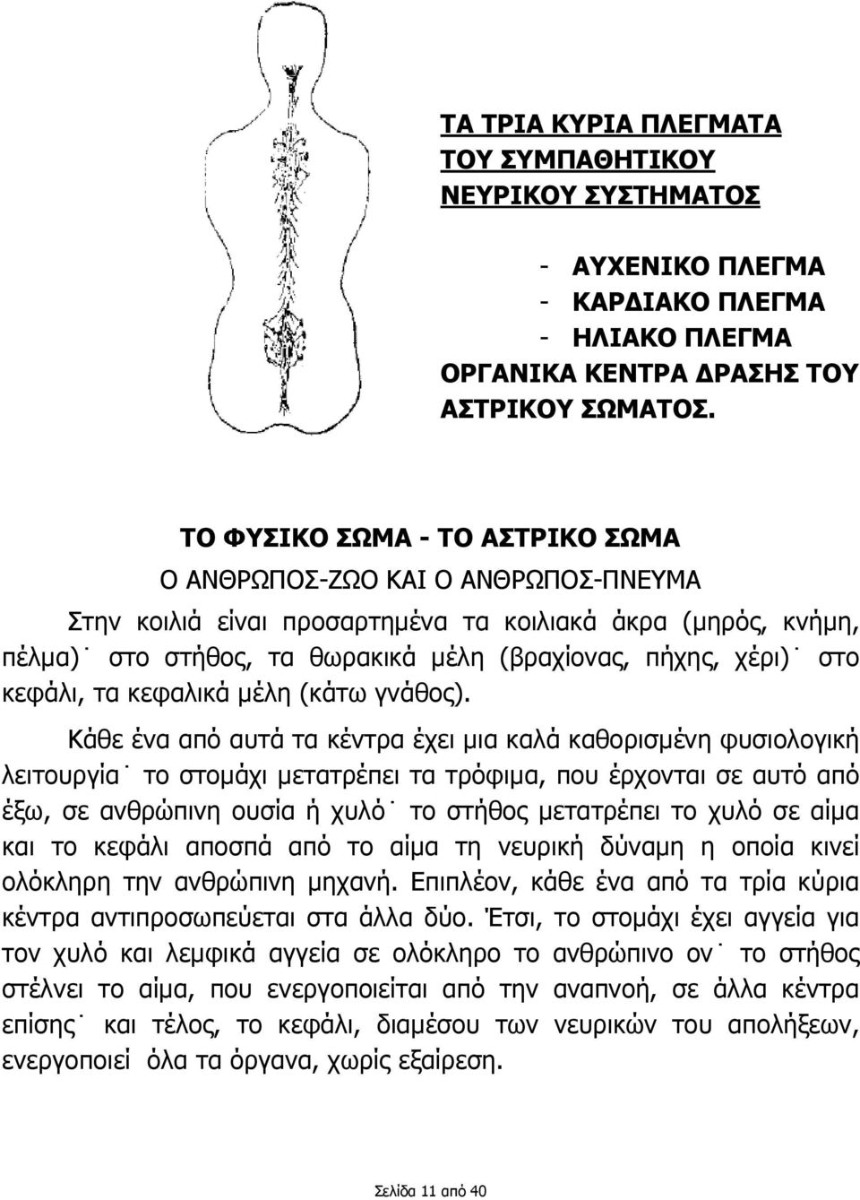 κεφάλι, τα κεφαλικά µέλη (κάτω γνάθος).