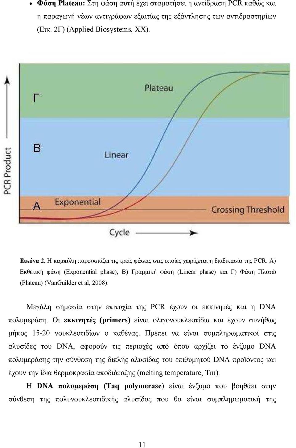 Α) Εκθετική φάση (Exponential phase), Β) Γραµµική φάση (Linear phase) και Γ) Φάση Πλατώ (Plateau) (VanGuilder et al, 2008).