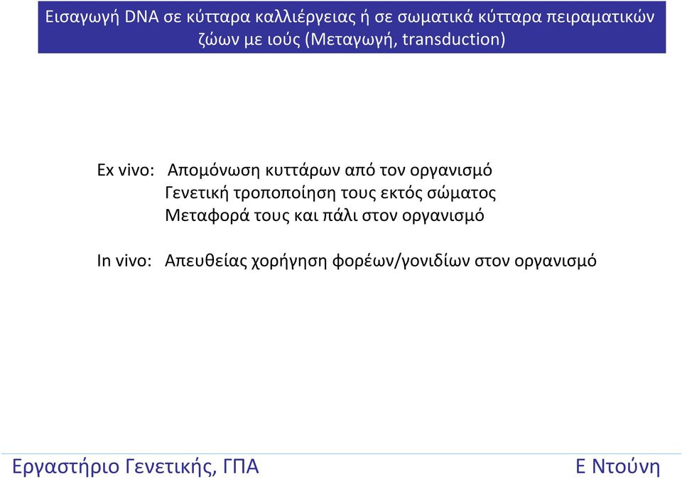 τον οργανισμό Γενετική τροποποίηση τους εκτός σώματος Μεταφορά τους και