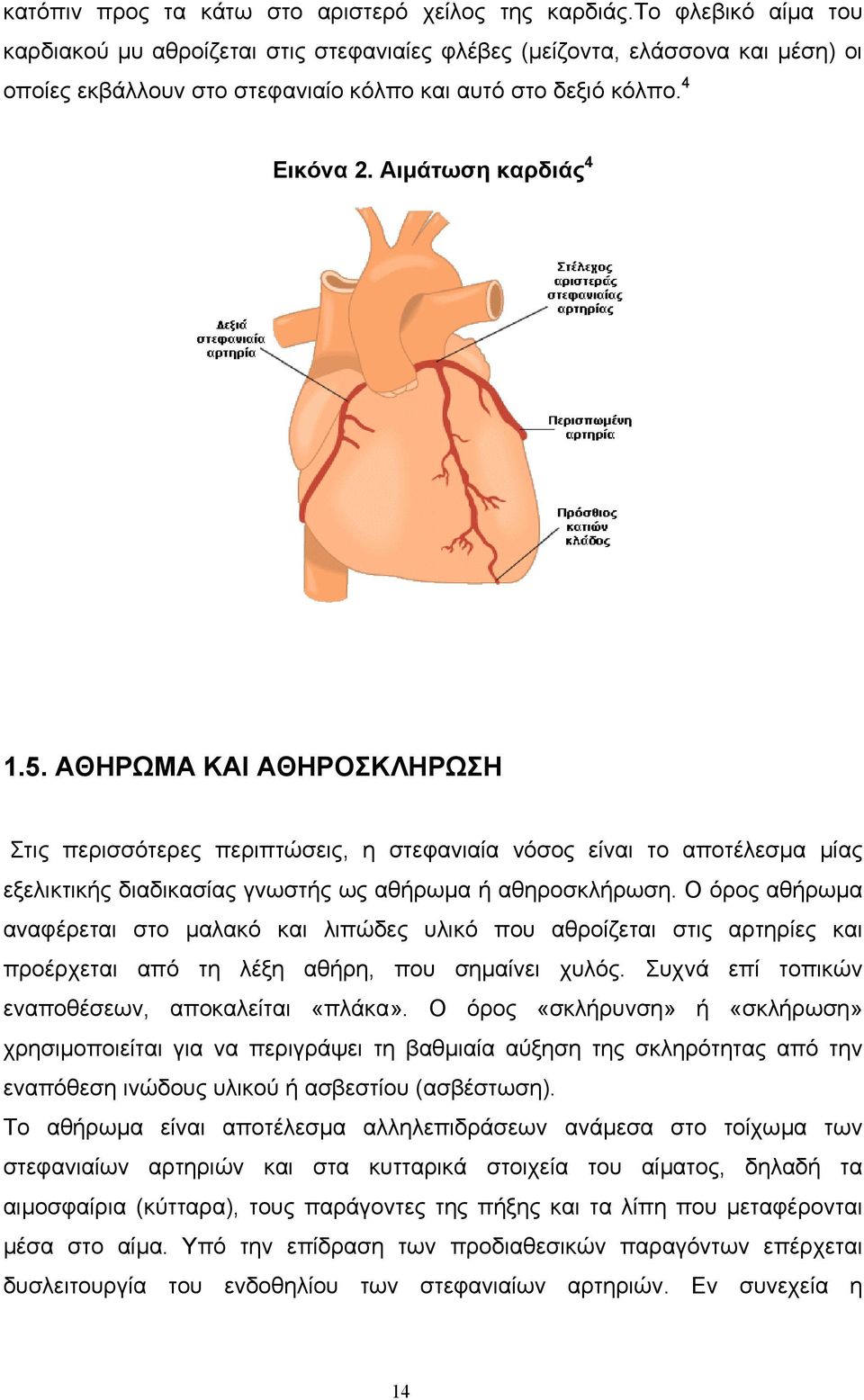 ΑΘΗΡΩΜΑ ΚΑΙ ΑΘΗΡΟΣΚΛΗΡΩΣΗ Στις περισσότερες περιπτώσεις, η στεφανιαία νόσος είναι το αποτέλεσµα µίας εξελικτικής διαδικασίας γνωστής ως αθήρωµα ή αθηροσκλήρωση.