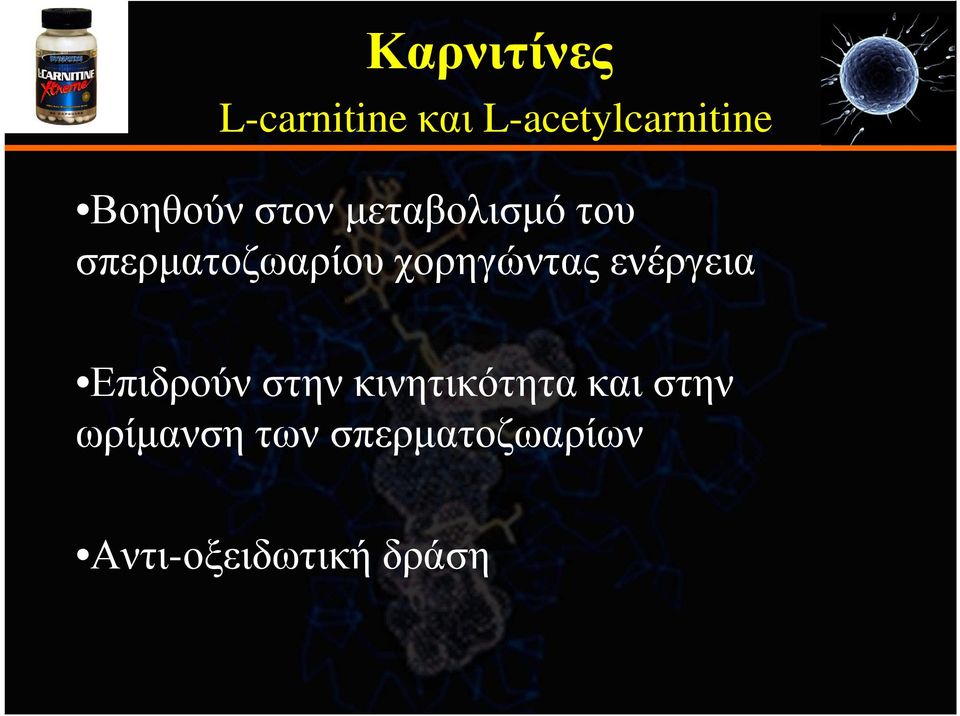 χορηγώντας ενέργεια Επιδρούν στην κινητικότητα