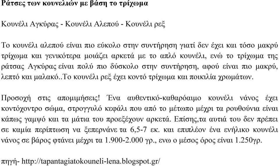 Προσοχή στις αποµιµήσεις! Ένα αυθεντικό-καθαρόαιµο κουνέλι νάνος έχει κοντόχοντρο σώµα, στρογγυλό κεφάλι που από το µέτωπο µέχρι τα ρουθούνια είναι κάπως γαµψό και τα µάτια του προεξέχουν αρκετά.