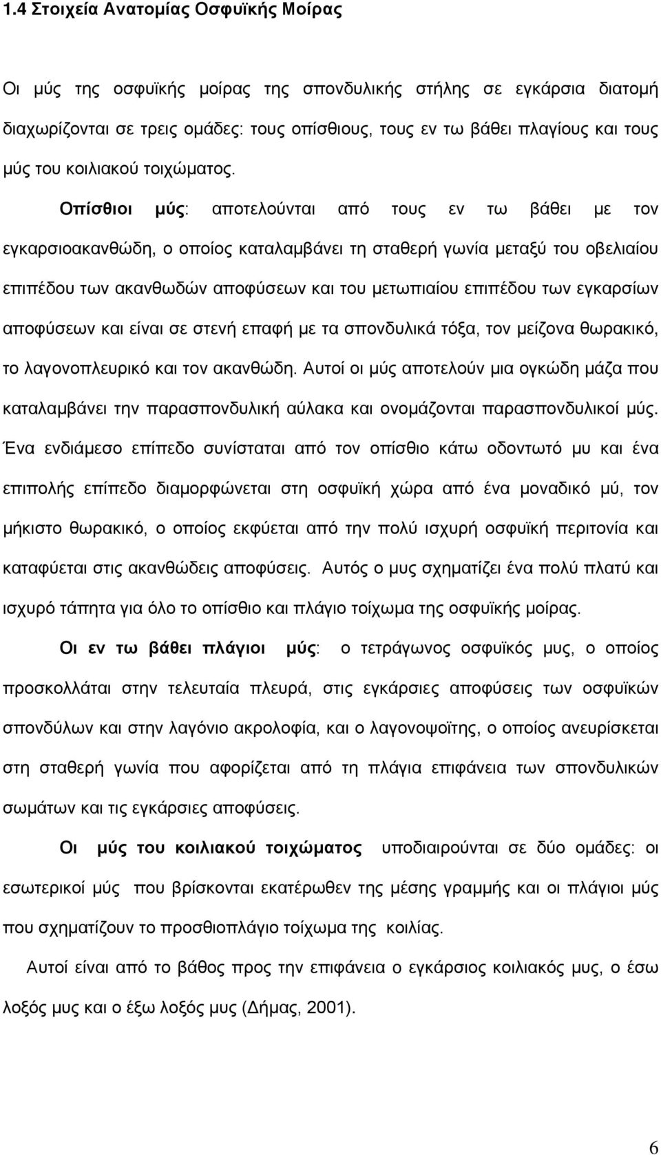 Οπίσθιοι μύς: αποτελούνται από τους εν τω βάθει με τον εγκαρσιοακανθώδη, ο οποίος καταλαμβάνει τη σταθερή γωνία μεταξύ του οβελιαίου επιπέδου των ακανθωδών αποφύσεων και του μετωπιαίου επιπέδου των