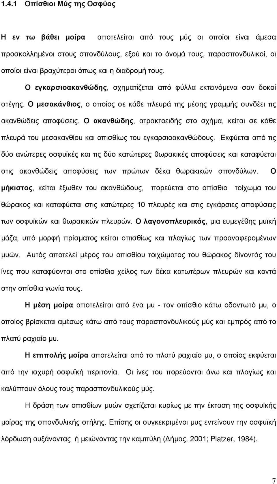 Ο ακανθώδης, ατρακτοειδής στο σχήμα, κείται σε κάθε πλευρά του μεσακανθίου και οπισθίως του εγκαρσιοακανθώδους.