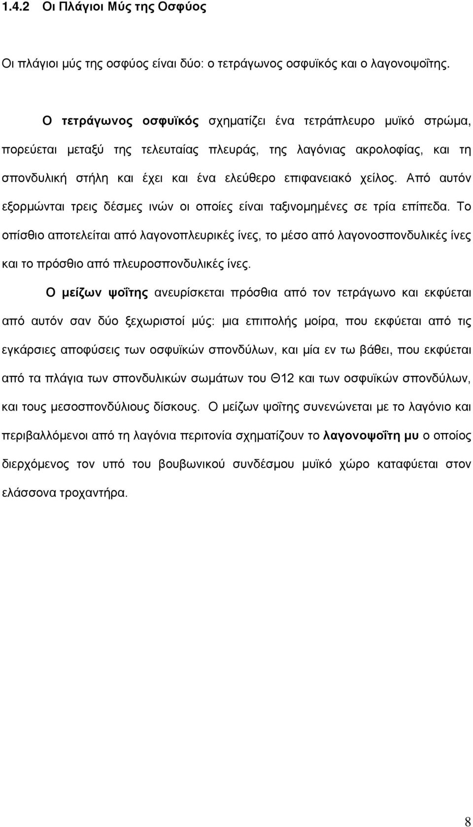 Από αυτόν εξορμώνται τρεις δέσμες ινών οι οποίες είναι ταξινομημένες σε τρία επίπεδα.