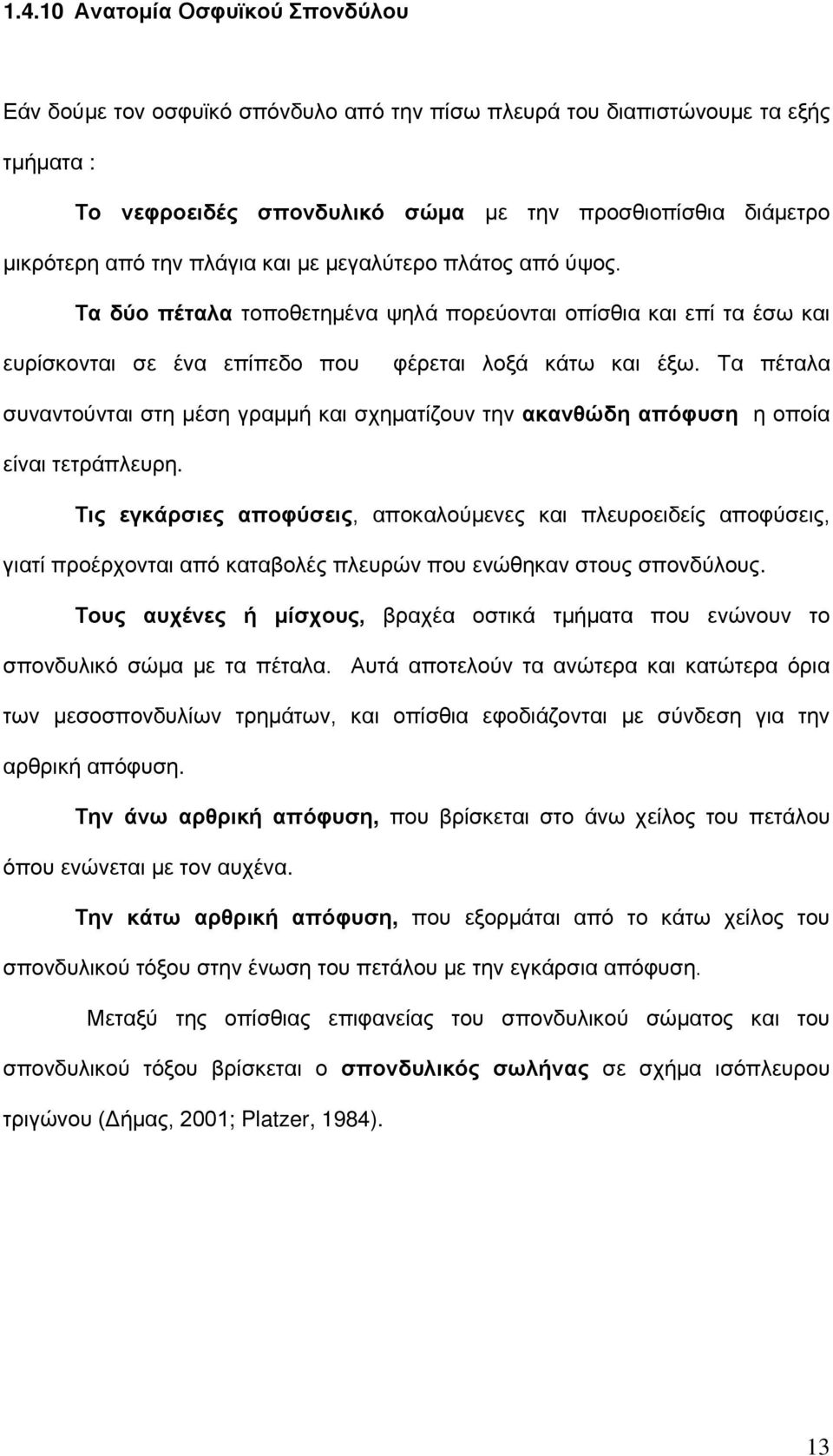 Τα πέταλα συναντούνται στη μέση γραμμή και σχηματίζουν την ακανθώδη απόφυση η οποία είναι τετράπλευρη.