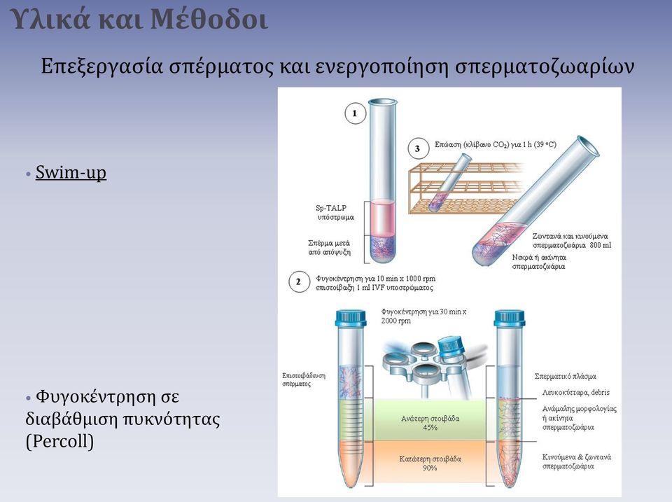 σπερματοζωαρίων Swim-up