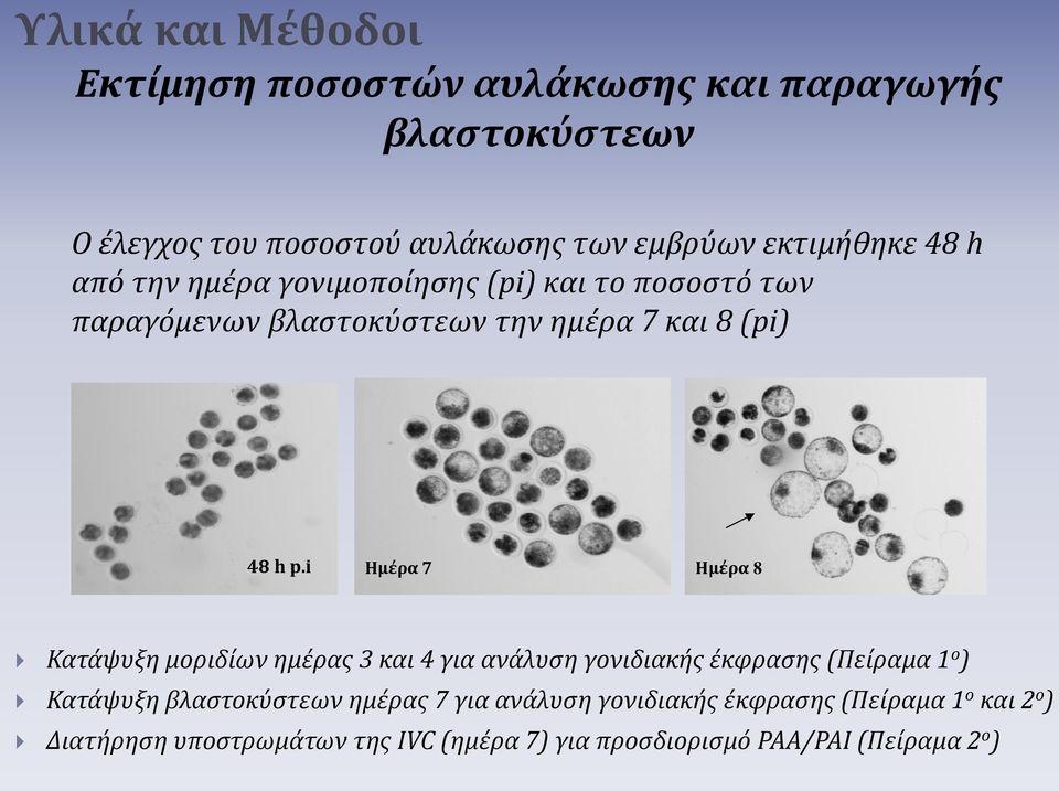 i Ημέρα 7 Ημέρα 8 Κατάψυξη μοριδίων ημέρας 3 και 4 για ανάλυση γονιδιακής έκφρασης (Πείραμα 1 ο ) Κατάψυξη βλαστοκύστεων