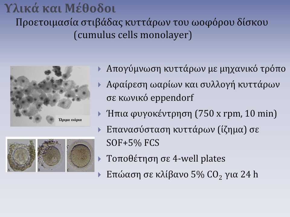 συλλογή κυττάρων σε κωνικό eppendorf Ήπια φυγοκέντρηση (750 x rpm, 10 min)