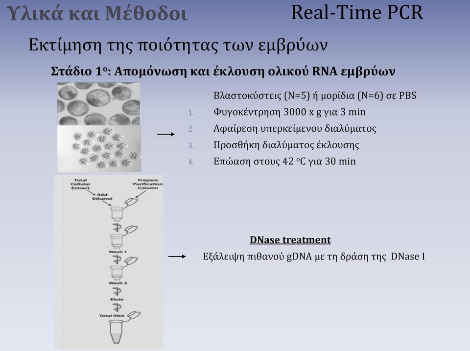 Φυγοκέντρηση 3000 x g για 3 min 2. Αφαίρεση υπερκείμενου διαλύματος 3.