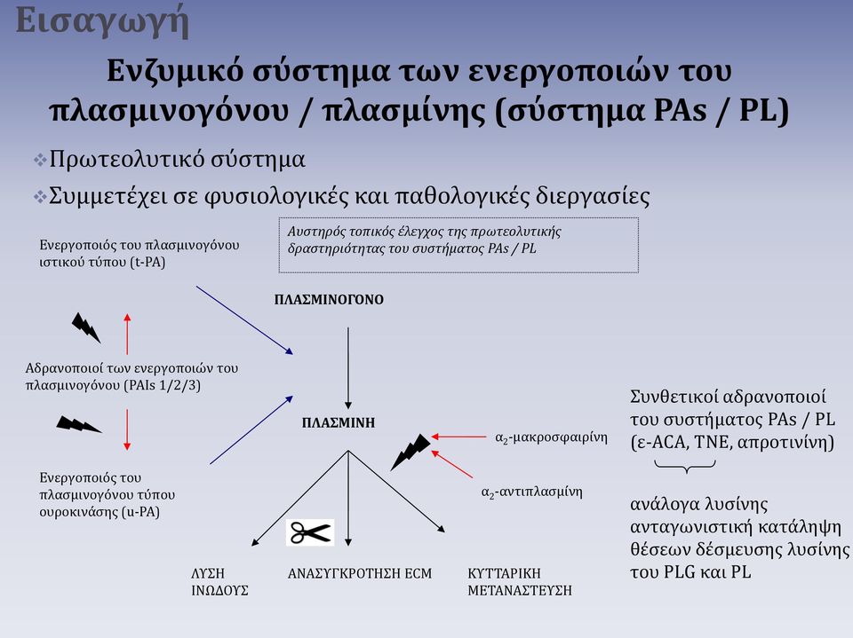 ενεργοποιών του πλασμινογόνου (PAIs 1/2/3) ΠΛΑΣΜΙΝΗ α 2 -μακροσφαιρίνη Συνθετικοί αδρανοποιοί του συστήματος PAs / PL (ε-aca, TNE, απροτινίνη) Ενεργοποιός του