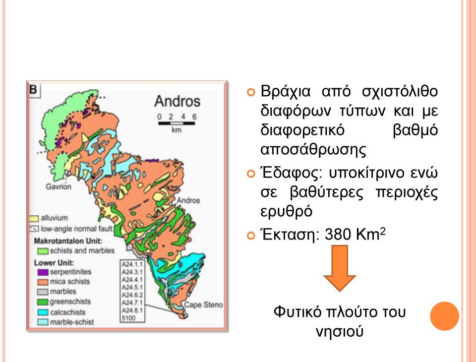 ππνθίηξηλν ελώ ζε βαζύηεξεο πεξηνρέο