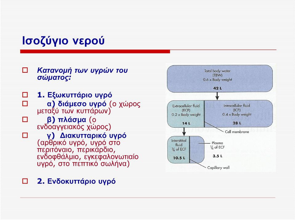 (ο ενδοαγγειακός χώρος) γ) Διακυτταρικό υγρό (αρθρικό υγρό, υγρό στο