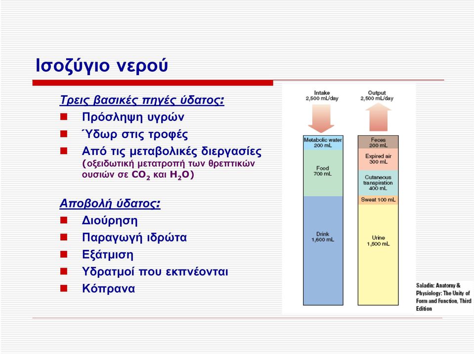 μετατροπή των θρεπτικών ουσιών σε CO 2 και H 2 O) Αποβολή