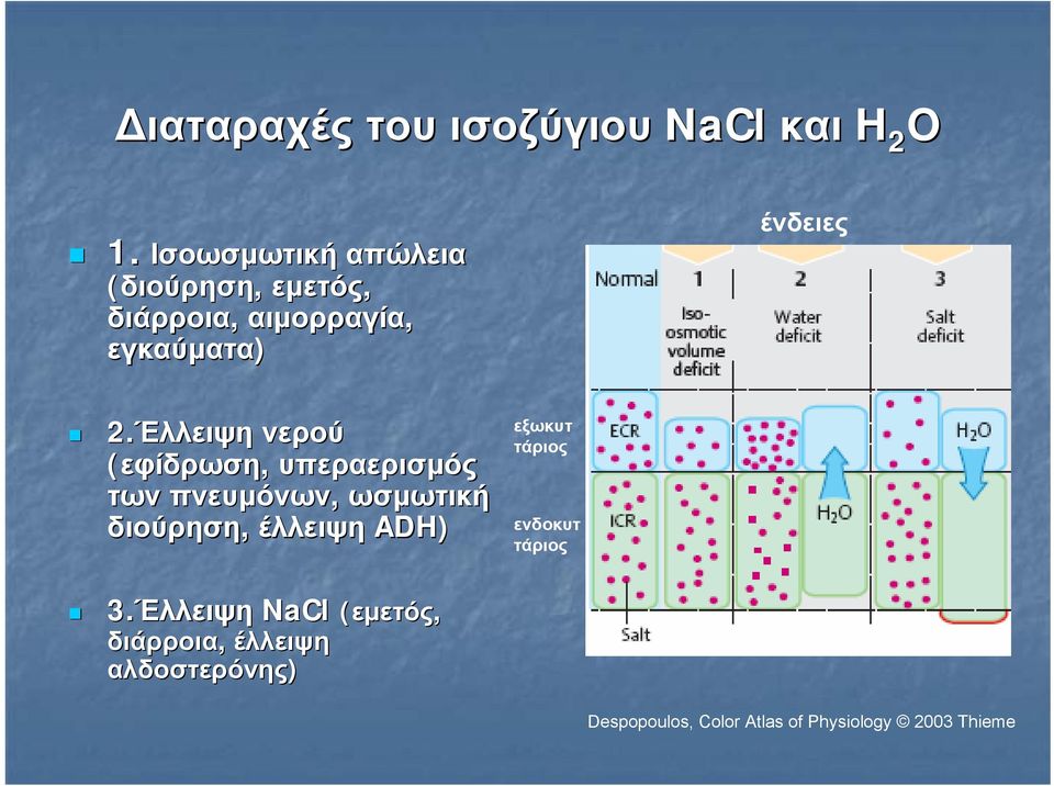 Έλλειψη νερού (εφίδρωση, υπεραερισμός των πνευμόνων, ωσμωτική διούρηση, έλλειψη ADH)