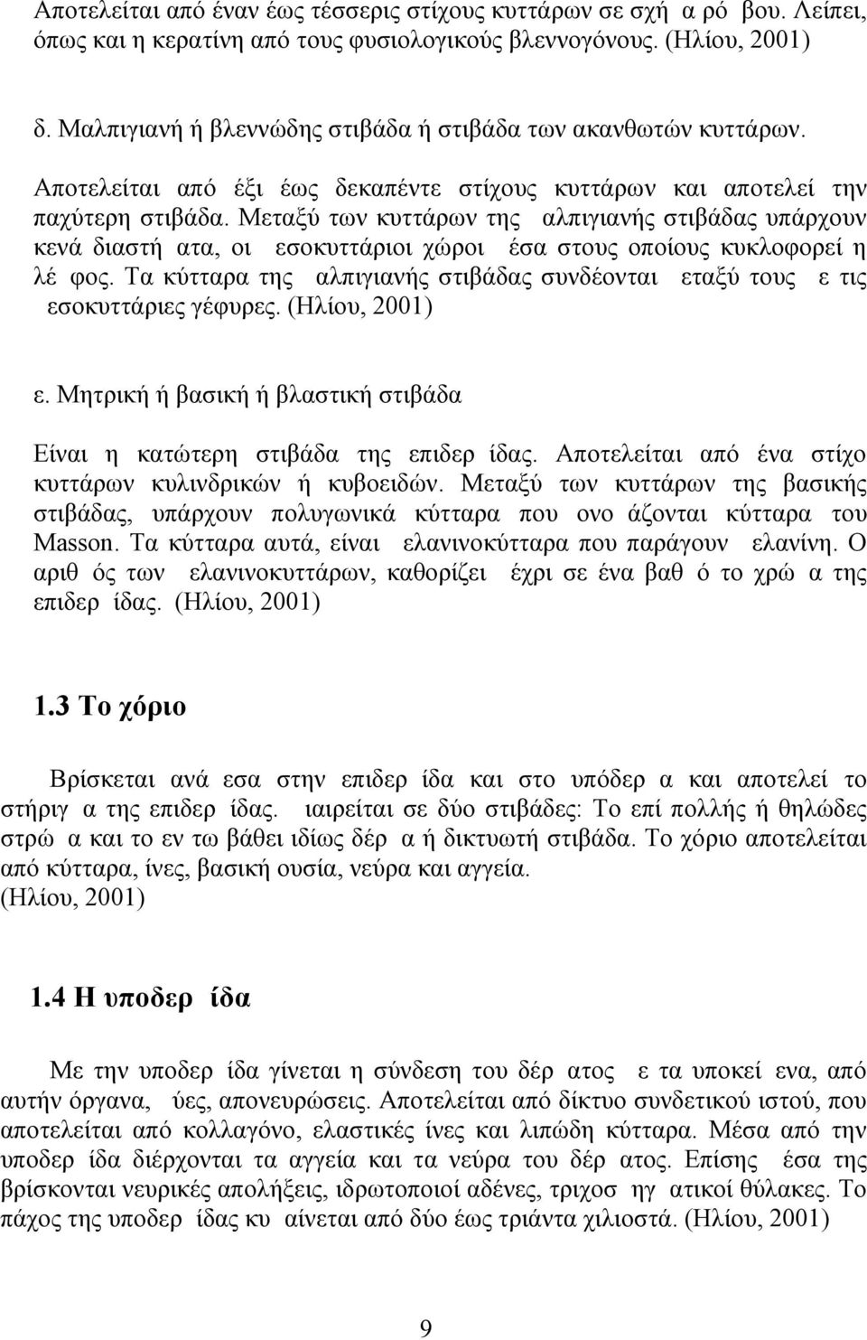 Μεταξύ των κυττάρων της μαλπιγιανής στιβάδας υπάρχουν κενά διαστήματα, οι μεσοκυττάριοι χώροι μέσα στους οποίους κυκλοφορεί η λέμφος.