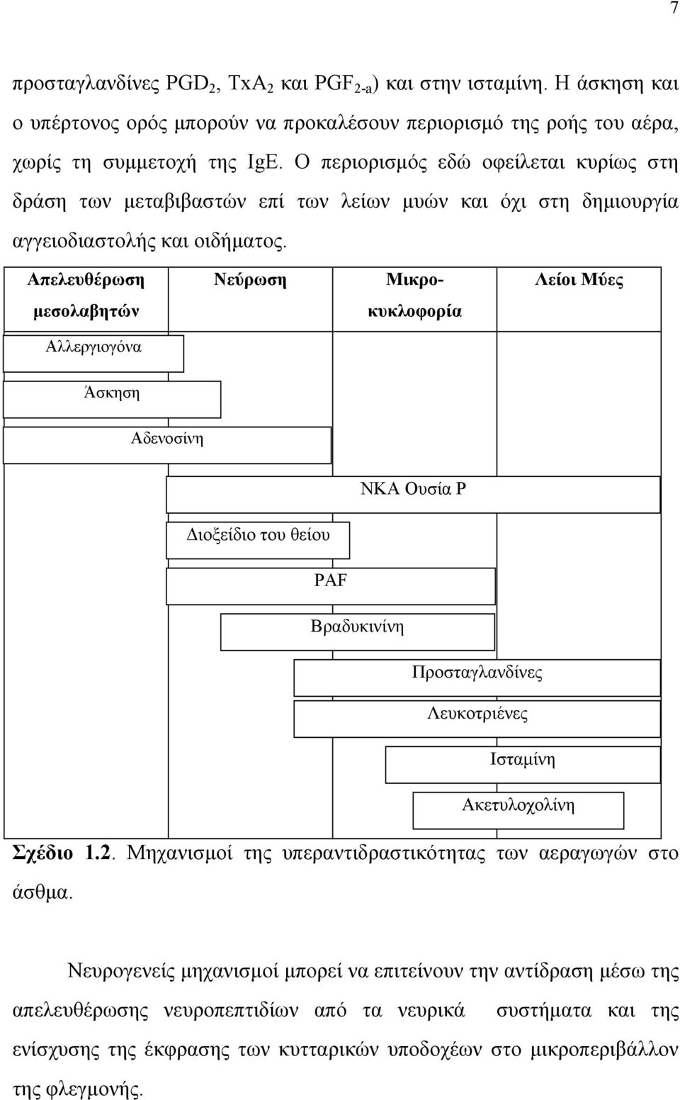 Απελευθέρωση Νεύρωση Μικρο- Λείοι Μύες µεσολαβητών κυκλοφορία Αλλεργιογόνα Άσκηση Αδενοσίνη ΝΚΑ Ουσία Ρ ιοξείδιο του θείου PAF Βραδυκινίνη Προσταγλανδίνες Λευκοτριένες Ισταµίνη Ακετυλοχολίνη