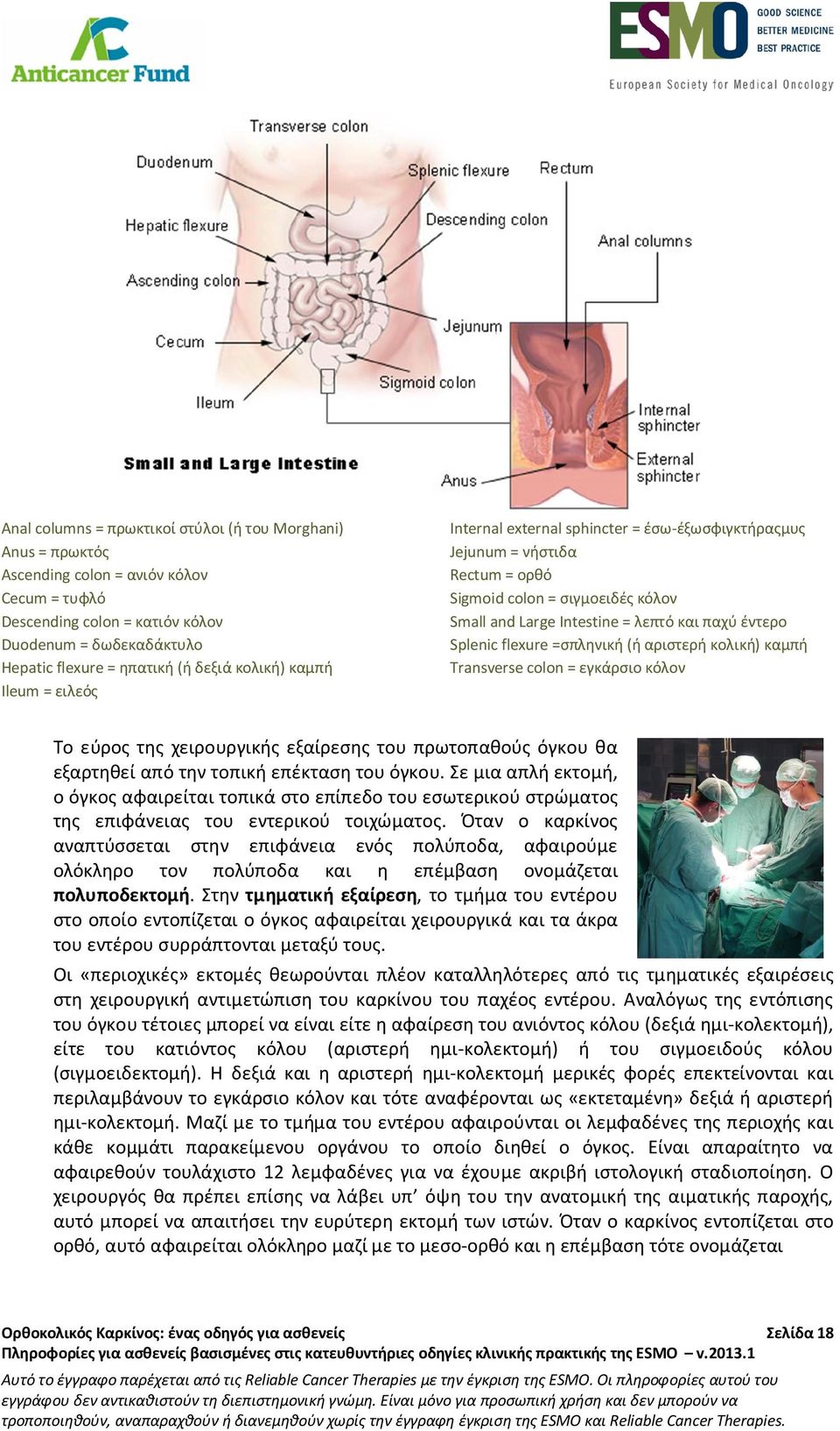 Splenic flexure =σπληνική (ή αριστερή κολική) καμπή Transverse colon = εγκάρσιο κόλον Το εύρος της χειρουργικής εξαίρεσης του πρωτοπαθούς όγκου θα εξαρτηθεί από την τοπική επέκταση του όγκου.