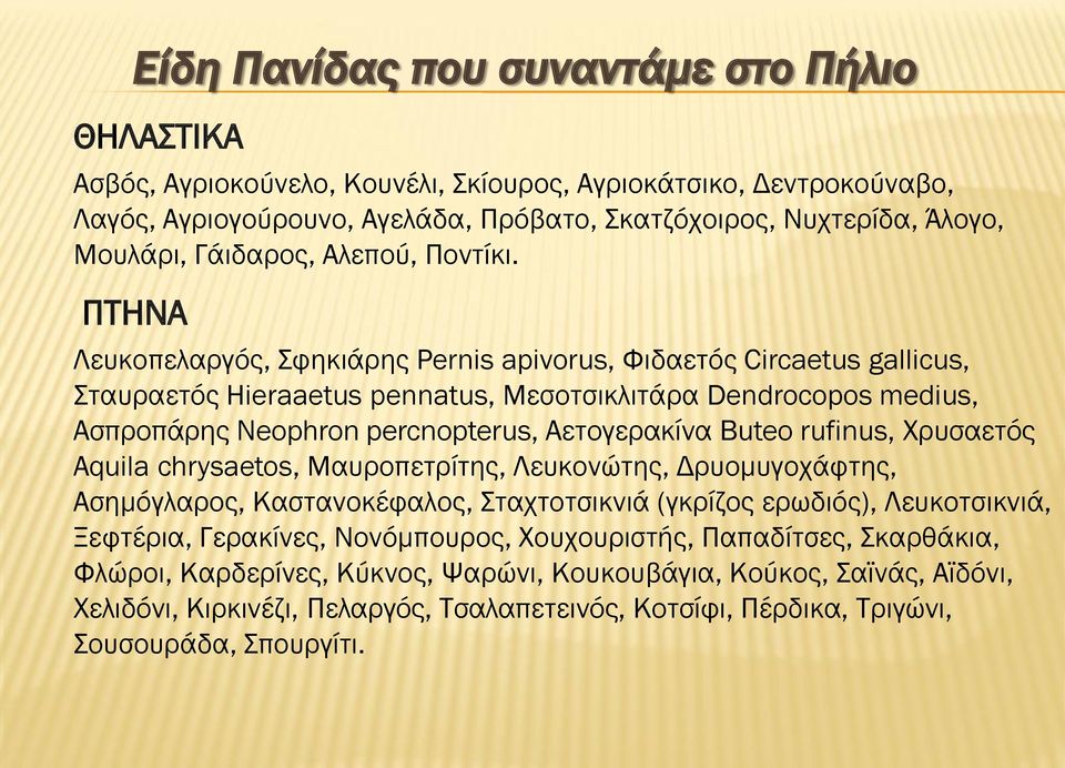 ΠΤΗΝΑ Λευκοπελαργός, Σφηκιάρης Pernis apivorus, Φιδαετός Circaetus gallicus, Σταυραετός Hieraaetus pennatus, Μεσοτσικλιτάρα Dendrocopos medius, Ασπροπάρης Neophron percnopterus, Αετογερακίνα Buteo