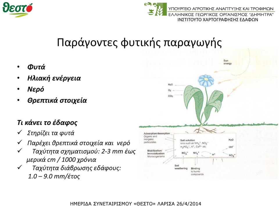 Παρέχει θρεπτικά στοιχεία και νερό Ταχύτητα σχηματισμού: 2 3