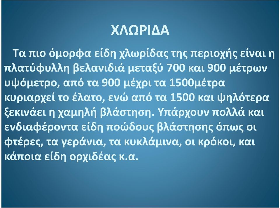 1500 και ψηλότερα ξεκινάει η χαμηλή βλάστηση.