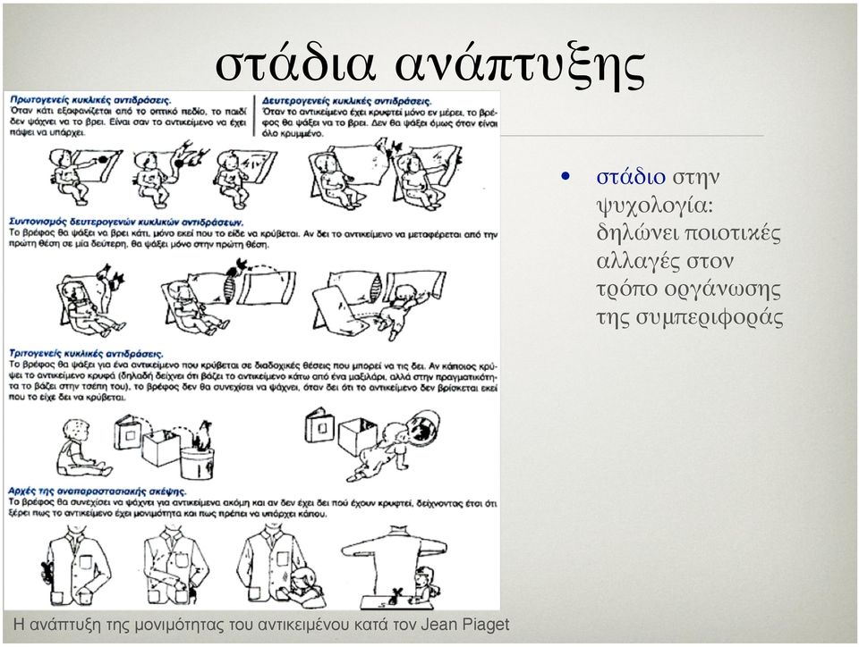 οργάνωσης της συμπεριφοράς Η ανάπτυξη της