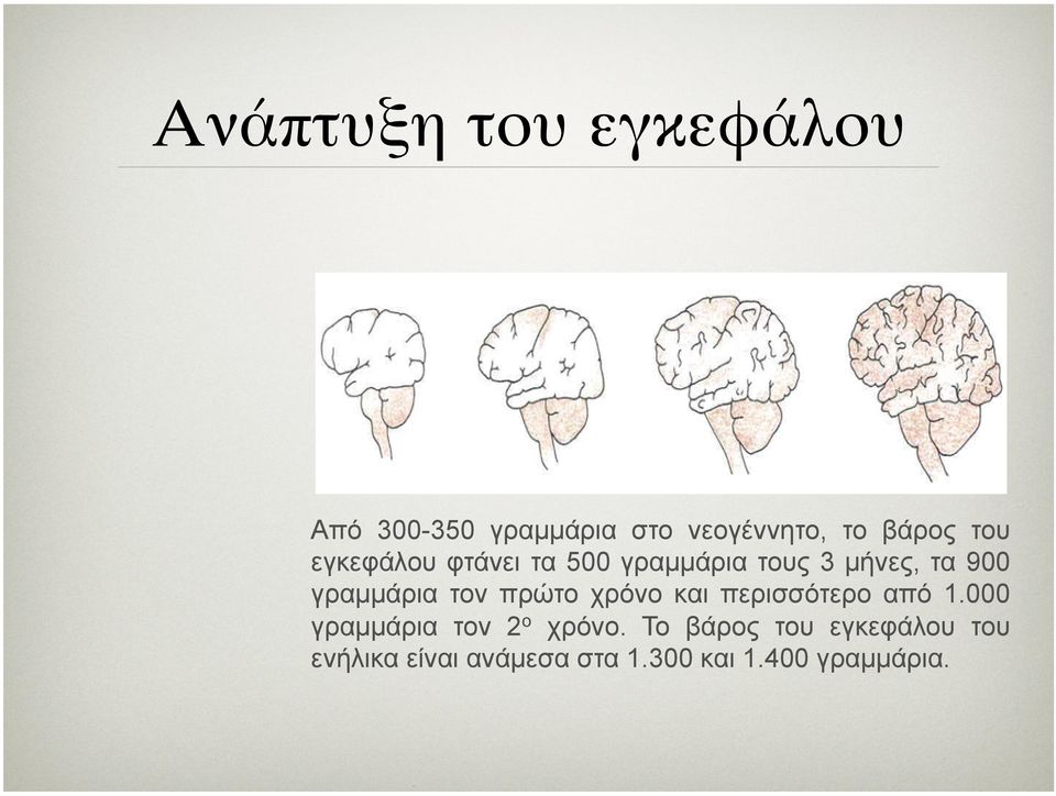 τον πρώτο χρόνο και περισσότερο από 1.000 γραµµάρια τον 2 ο χρόνο.