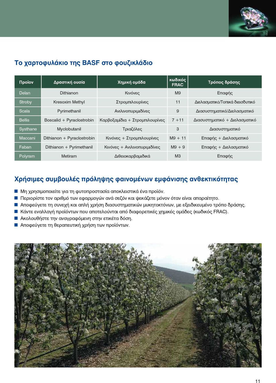 Myclobutanil Τριαζόλες 3 Διασυστηµατικό Maccani Dithianon + Pyraclostrobin Κινόνες + Στροµπιλουρίνες M9 + 11 Επαφής + Διελασµατικό Faban Dithianon + Pyrimethanil Κινόνες + Ανιλινοπυριµιδίνες M9 + 9