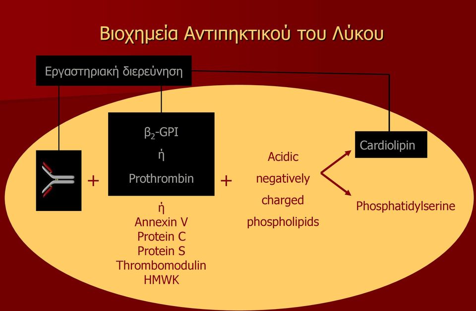 Protein C Protein S Thrombomodulin HMWK + Acidic