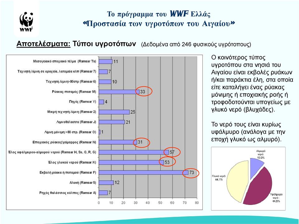 ρυάκων ή/και παράκτια έλη, στα οποία είτε καταλήγει ένας ρύακας µόνιµης ή εποχιακής ροής ή