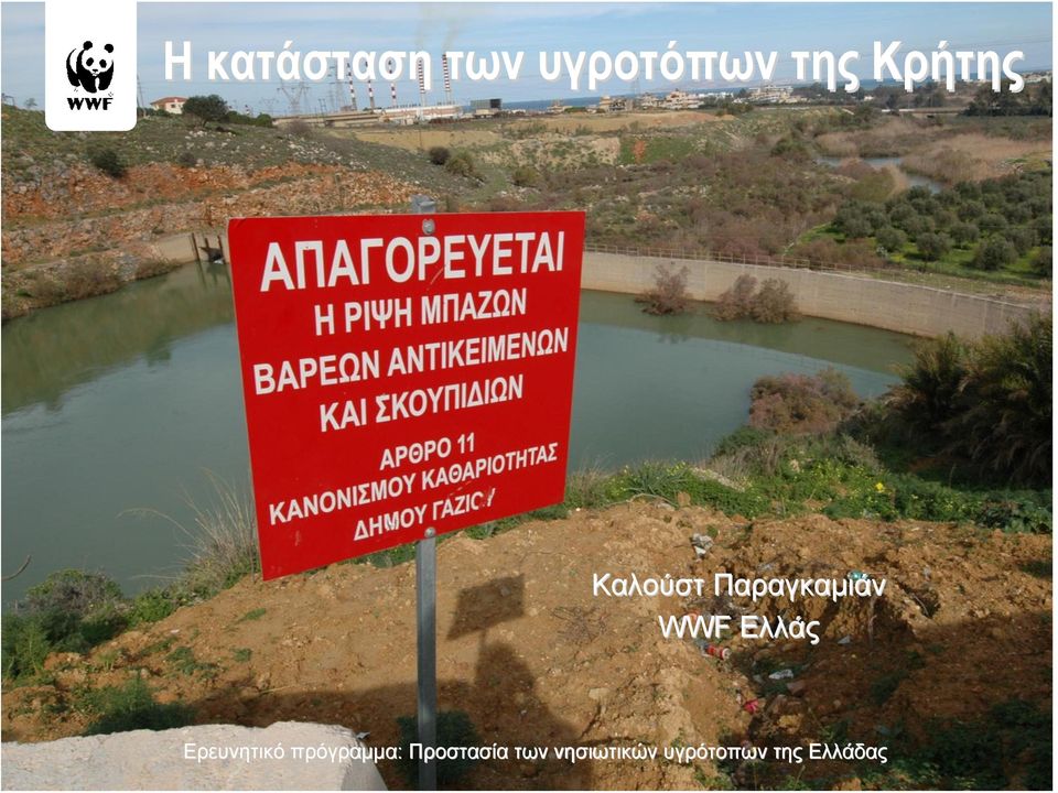 Ερευνητικό πρόγραμμα: