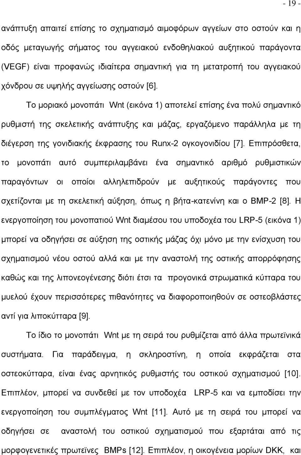 Το μοριακό μονοπάτι Wnt (εικόνα 1) αποτελεί επίσης ένα πολύ σημαντικό ρυθμιστή της σκελετικής ανάπτυξης και μάζας, εργαζόμενο παράλληλα με τη διέγερση της γονιδιακής έκφρασης του Runx-2 ογκογονιδίου